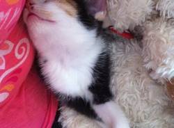 Il buongiorno dei lettori (inserita in galleria)