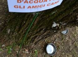 Il Dog's City Park apre a Villa Mylius (inserita in galleria)