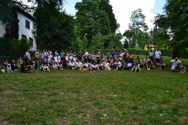 Il Dog's City Park apre a Villa Mylius (inserita in galleria)