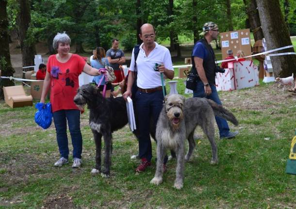 Il Dog's City Park apre a Villa Mylius (inserita in galleria)