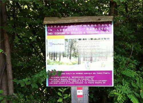 Il parco Pineta a Vedano Olona (inserita in galleria)
