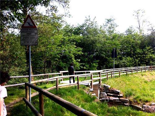 Il parco Pineta a Vedano Olona (inserita in galleria)