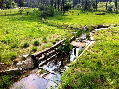 Il parco Pineta a Vedano Olona (inserita in galleria)