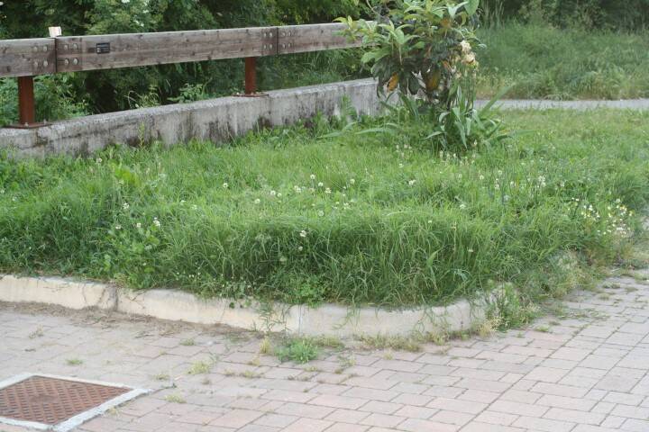 IMG 9428