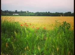 Le foto dei lettori (inserita in galleria)