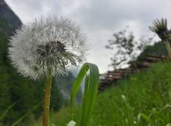 Le foto dei lettori (inserita in galleria)