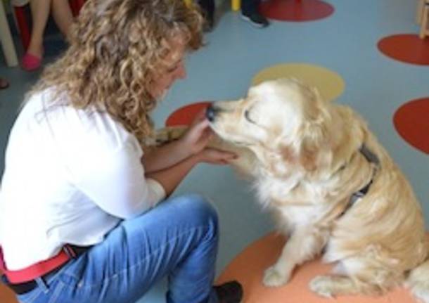 pet therapy apertura