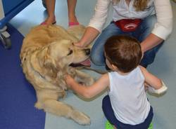 Pet Therapy in Pediatria (inserita in galleria)