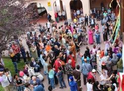 Tradate di tanti colori (inserita in galleria)