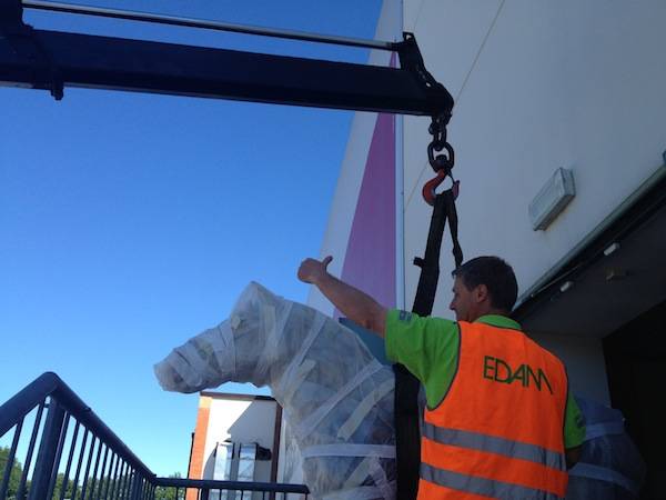 Un cavallo "vola" fuori dal Maga (inserita in galleria)