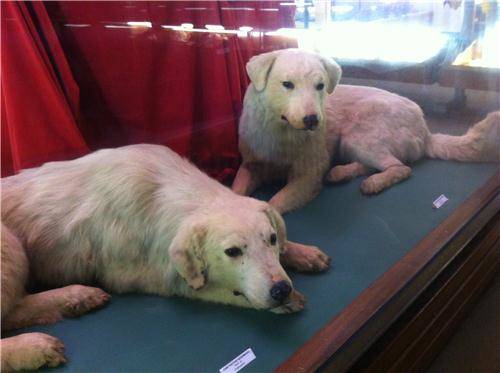 Venegono Inferiore: i luoghi  (inserita in galleria)