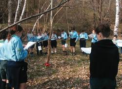 Vita da scout (inserita in galleria)