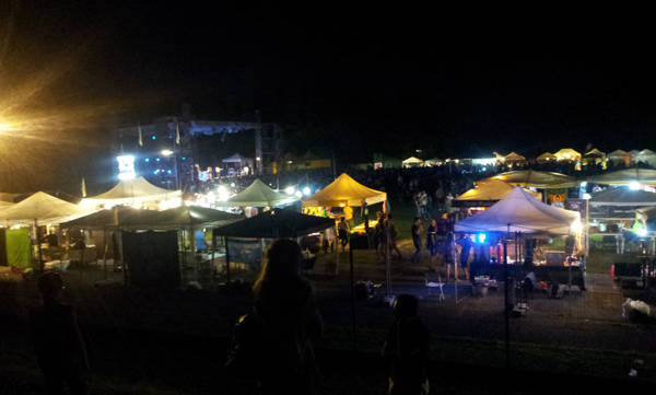Albizzate Valley Festival, la seconda serata (inserita in galleria)