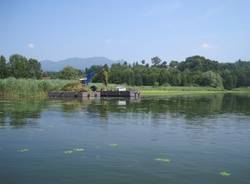 Benna al lavoro sul Lago di Varese (inserita in galleria)