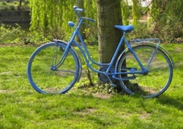 bici bicicletta verde natura