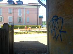 I lavori sulla ferrovia a Castronno (inserita in galleria)