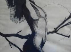 Il buongiorno dei lettori (inserita in galleria)