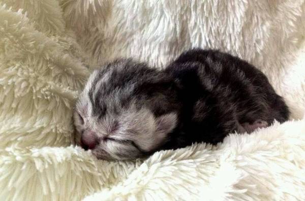 Il buongiorno dei lettori (inserita in galleria)