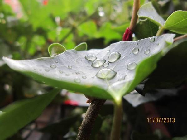 Il buongiorno dei lettori (inserita in galleria)