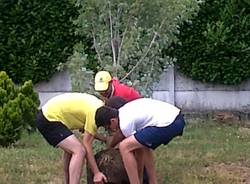 Il "parco spontaneo" di Cassano Magnago (inserita in galleria)