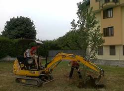 Il "parco spontaneo" di Cassano Magnago (inserita in galleria)