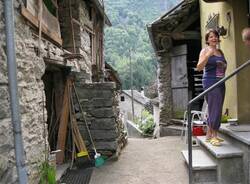IMG 4631
