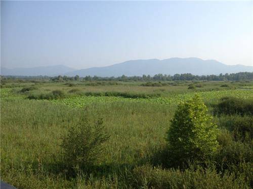 Oasi Brabbia (inserita in galleria)