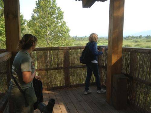 Oasi Brabbia (inserita in galleria)