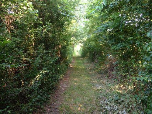 Oasi Brabbia (inserita in galleria)