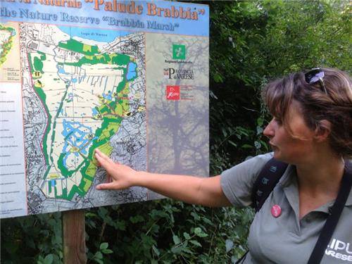 Oasi Brabbia (inserita in galleria)