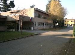 scuola primaria cedrate