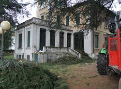 Villa Braghenti, cadono due piante causando gravi danni (inserita in galleria)