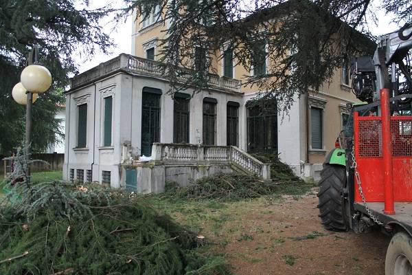 Villa Braghenti, cadono due piante causando gravi danni (inserita in galleria)