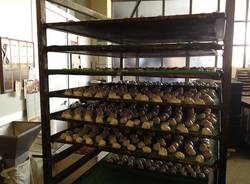 50 anni per la Pasticceria Milano (inserita in galleria)