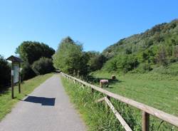 Ciclabile della Valmorea, tra panorami e escrementi (inserita in galleria)