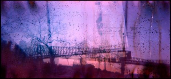 Fa le foto...e le rovina (inserita in galleria)