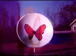 Fa le foto...e le rovina (inserita in galleria)