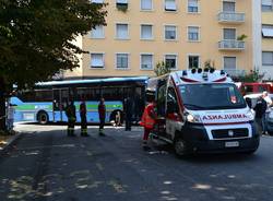 Anziana investita da un autobus (inserita in galleria)