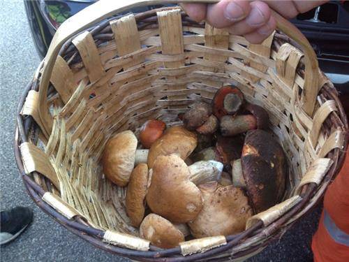 Azzio: i luoghi (inserita in galleria)