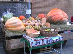 festa della zucca osmate