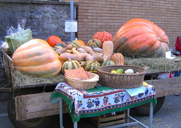 festa della zucca osmate