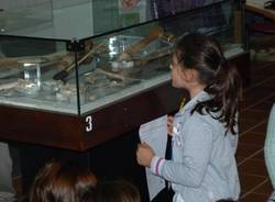 Il Museo Archeologico di Angera (inserita in galleria)