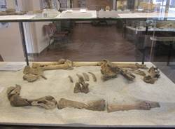 Il Museo Archeologico di Angera (inserita in galleria)