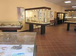 Il Museo Archeologico di Angera (inserita in galleria)