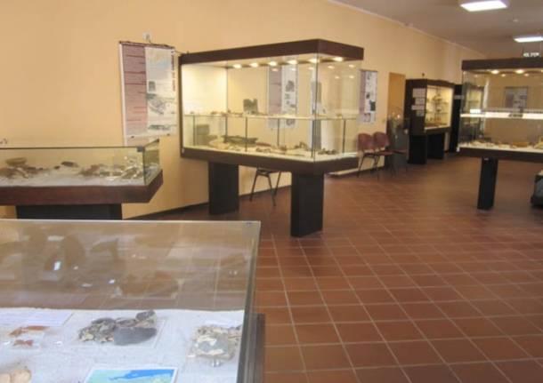 Il Museo Archeologico di Angera (inserita in galleria)