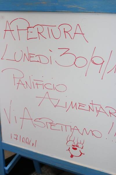 IMG 1679