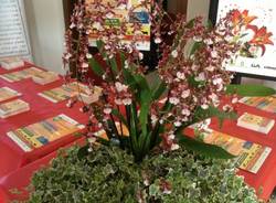 Orchidee da sogno a Varese (inserita in galleria)