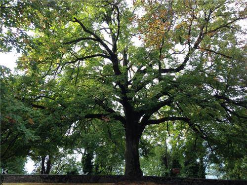 Orino: i luoghi (inserita in galleria)