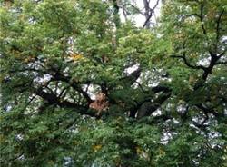 Orino: i luoghi (inserita in galleria)