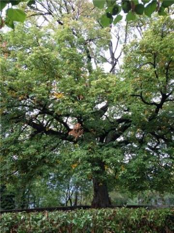 Orino: i luoghi (inserita in galleria)